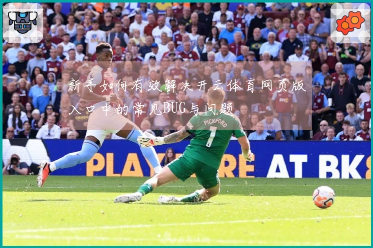 新手如何有效解决开云体育网页版入口中的常见BUG与问题