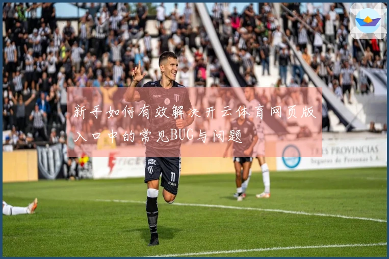 新手如何有效解决开云体育网页版入口中的常见BUG与问题