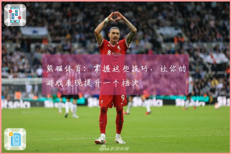 熊猫体育：掌握这些技巧，让你的游戏表现提升一个档次