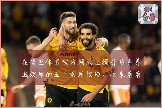 在悟空体育官方网站上提升角色养成效率的五个实用技巧，快来看看吧！